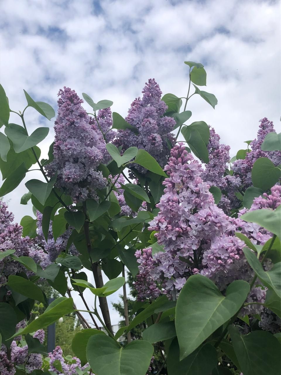 Казанлылар балаларына сирәк исемнәр куша башлаган