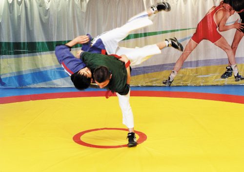 Рамил Синякаев: «Татар көрәшендә хәрәм юк»