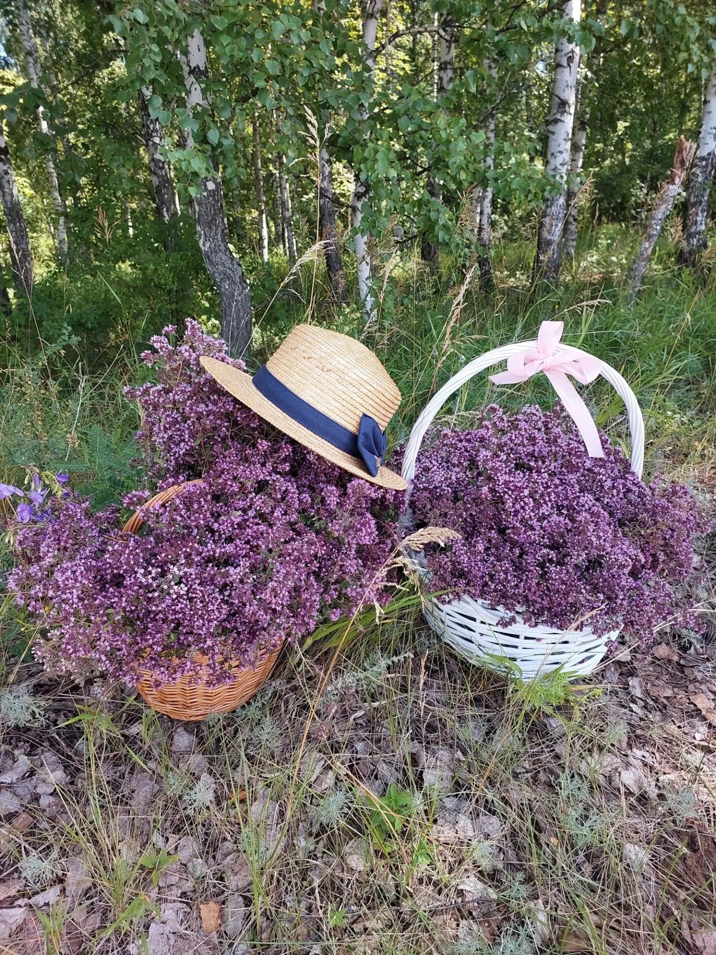 Кайбычта – Мәтрүшкә бәйрәме