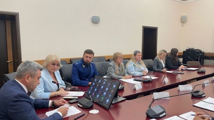 Татарстанда яшүсмерләр иминлеге мәсьәләләре буенча онлайн ата-аналар җыелышы узды