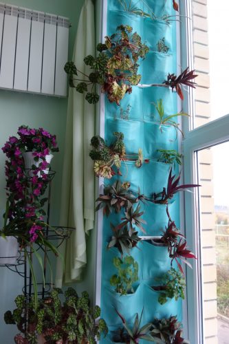 Бөрбашлылар мәктәпкә сукмакны онытмыйлар